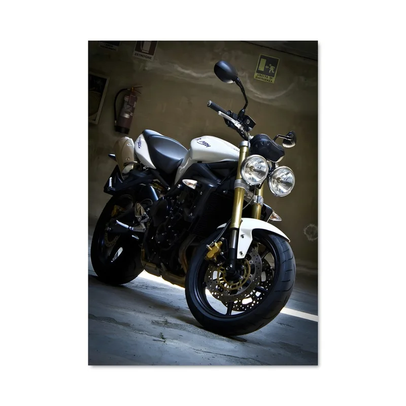 aesthetic-posters31305609