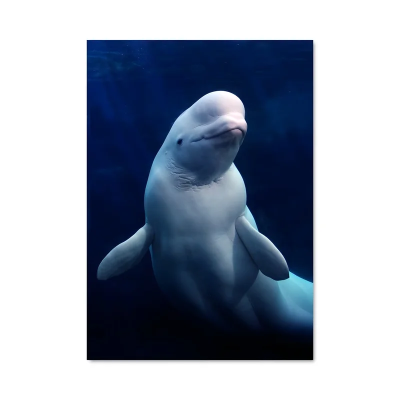 aesthetic-posters31307023