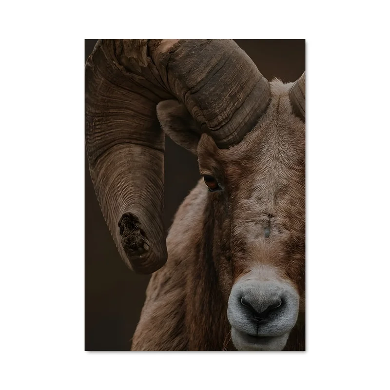 aesthetic-posters31307074