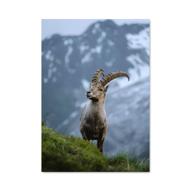 aesthetic-posters31308499