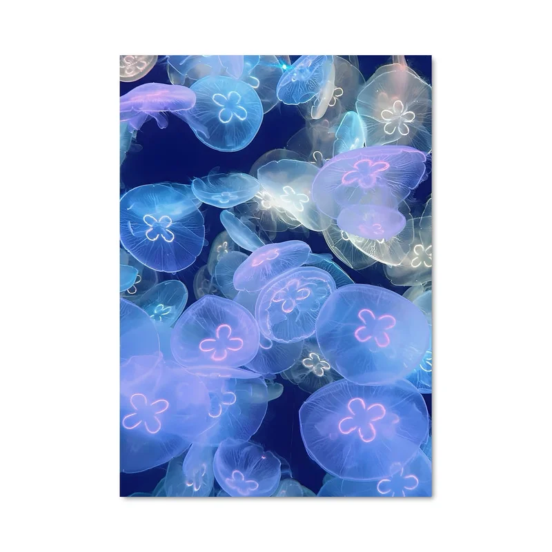 aesthetic-posters31308664