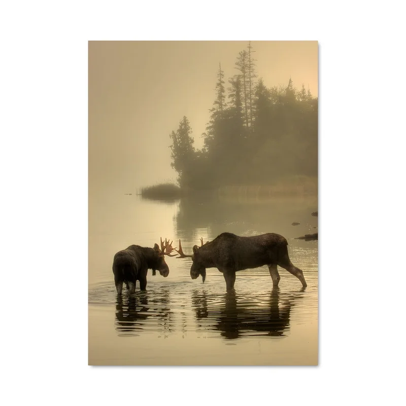 aesthetic-posters31309290