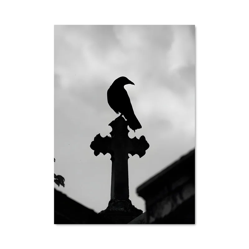 aesthetic-posters31310199