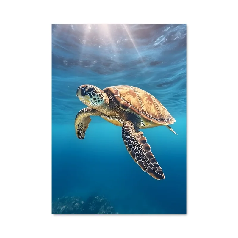 aesthetic-posters31310490