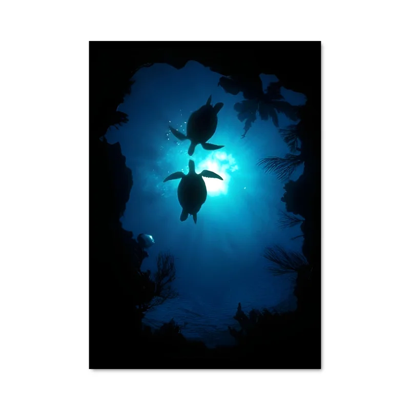 aesthetic-posters31310527