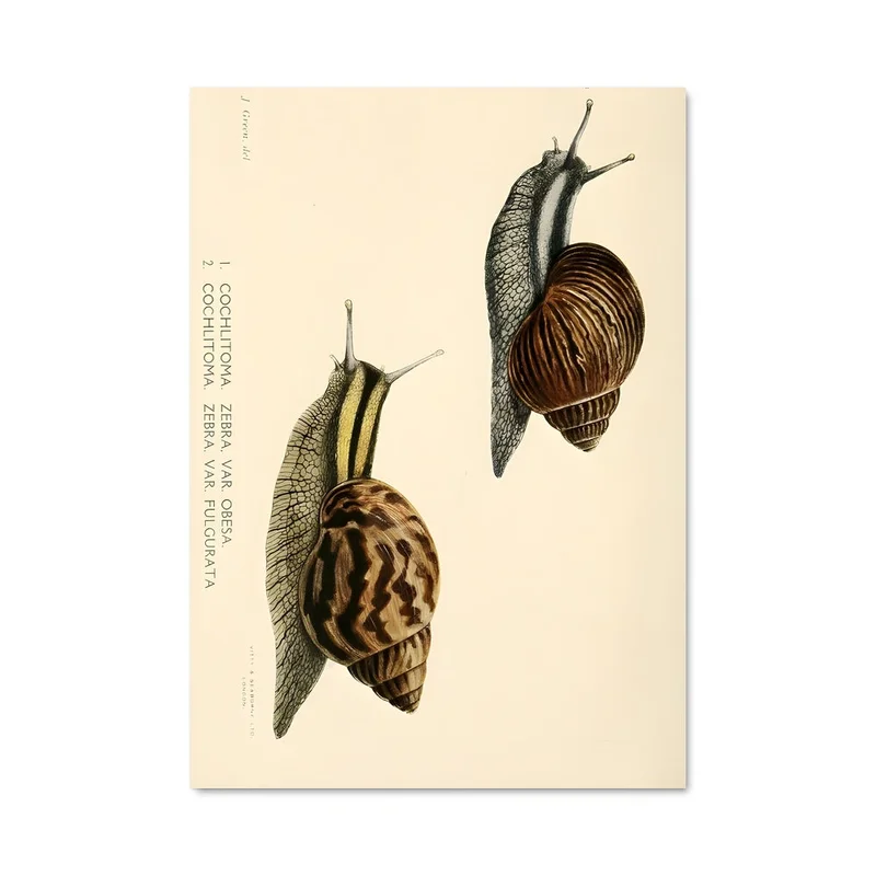 aesthetic-posters31310702