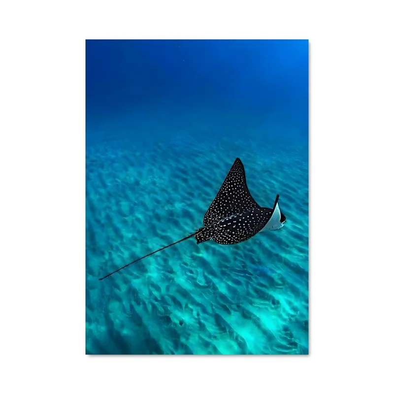 aesthetic-posters31310944