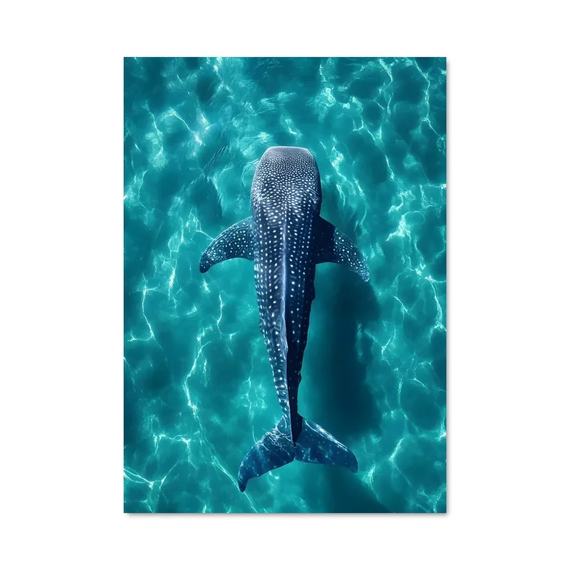 aesthetic-posters31311527