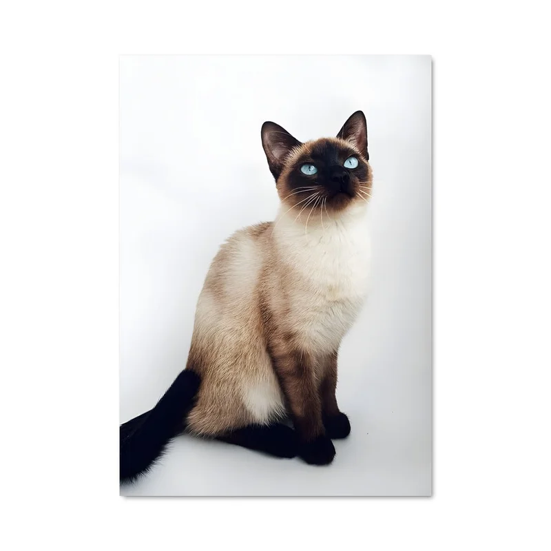 aesthetic-posters31312219