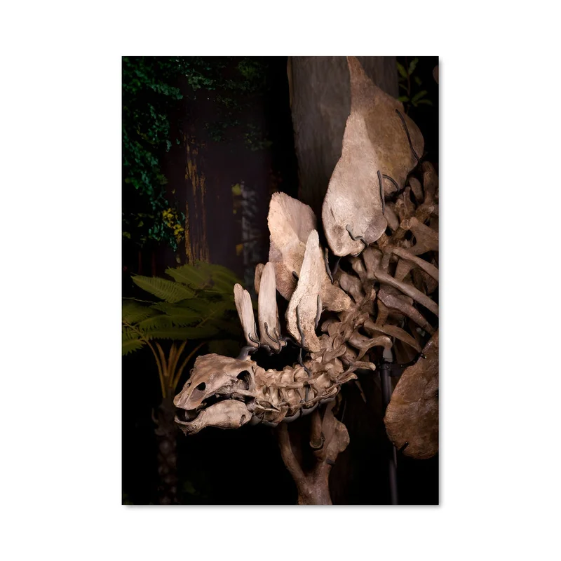 aesthetic-posters31312525
