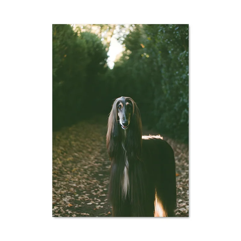 aesthetic-posters31312643