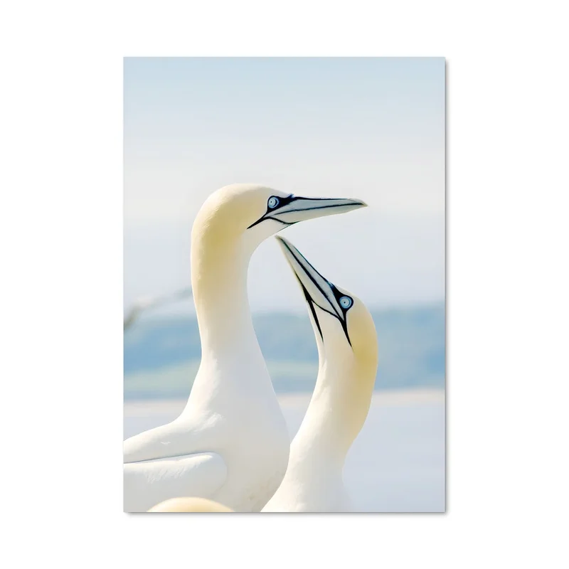 aesthetic-posters31324602