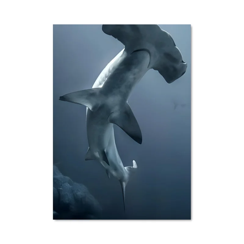 aesthetic-posters31324868
