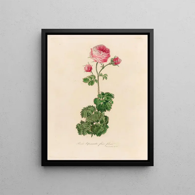 artemlegrand31312760