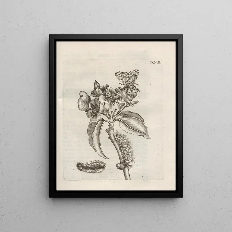 artemlegrand41468106