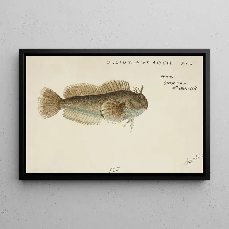 artemlegrand71478895