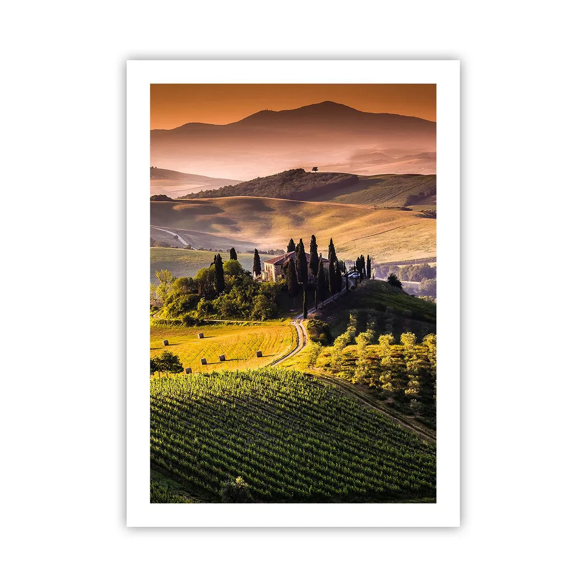 arttor1-1432482