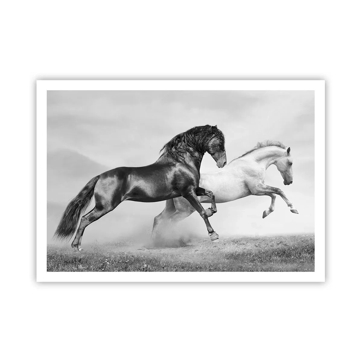 arttor1-1433164