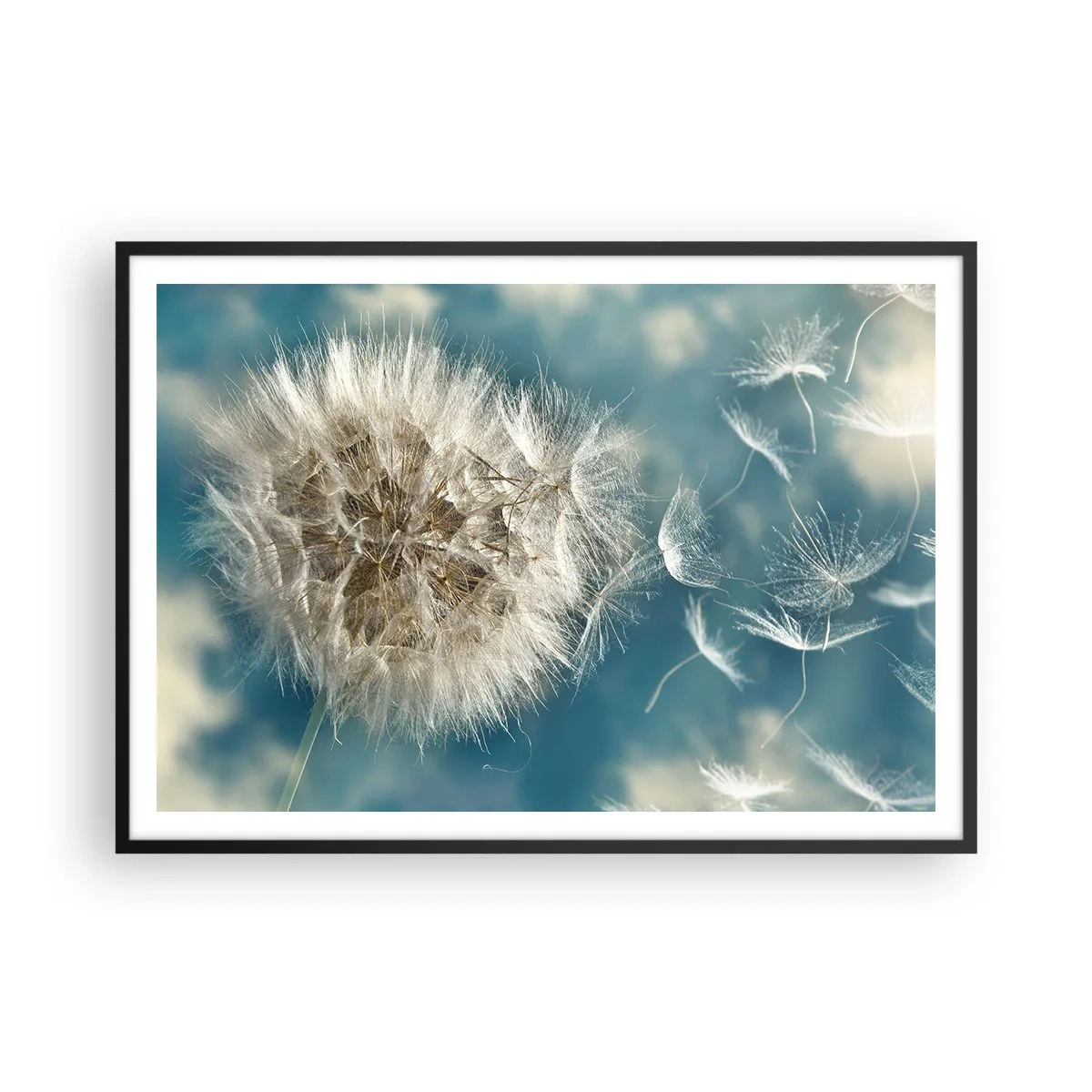 arttor1-1455360
