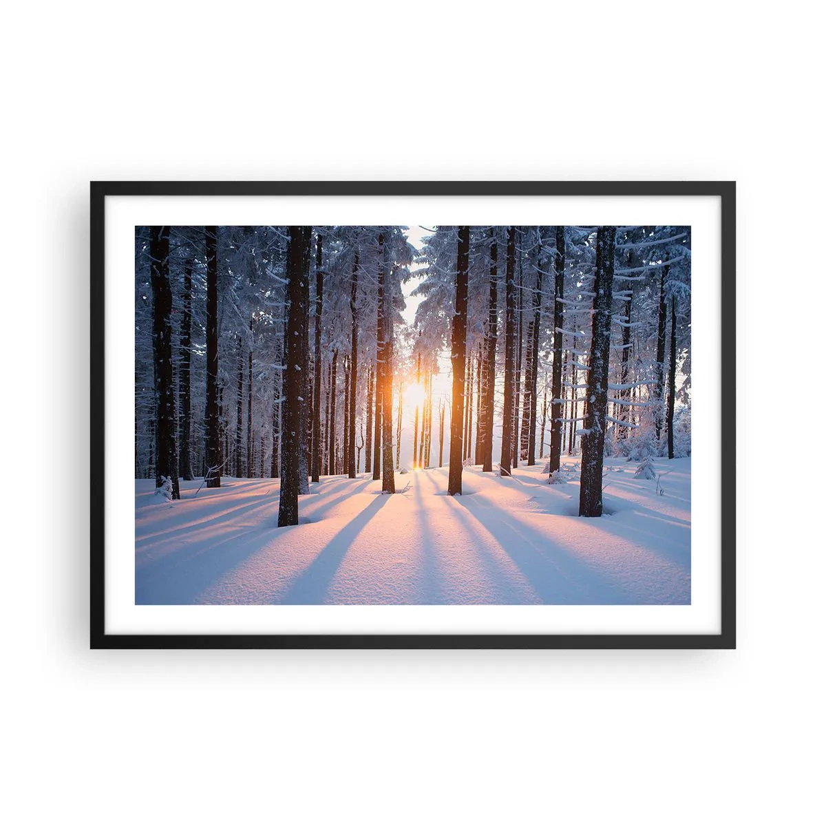 arttor2-218286
