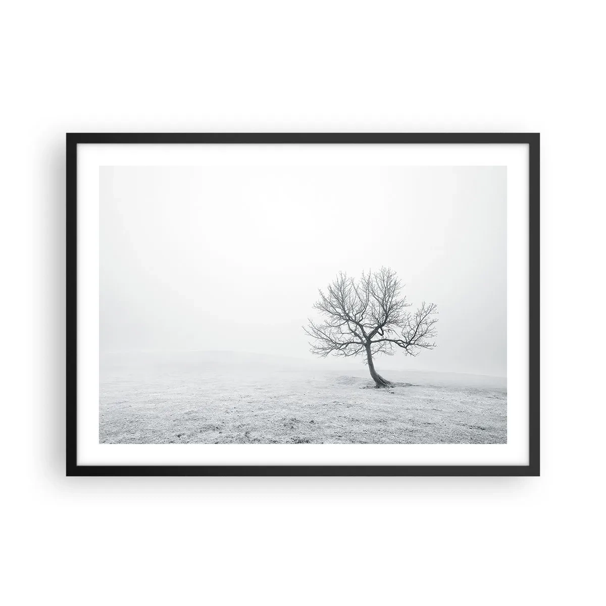 arttor2-218491