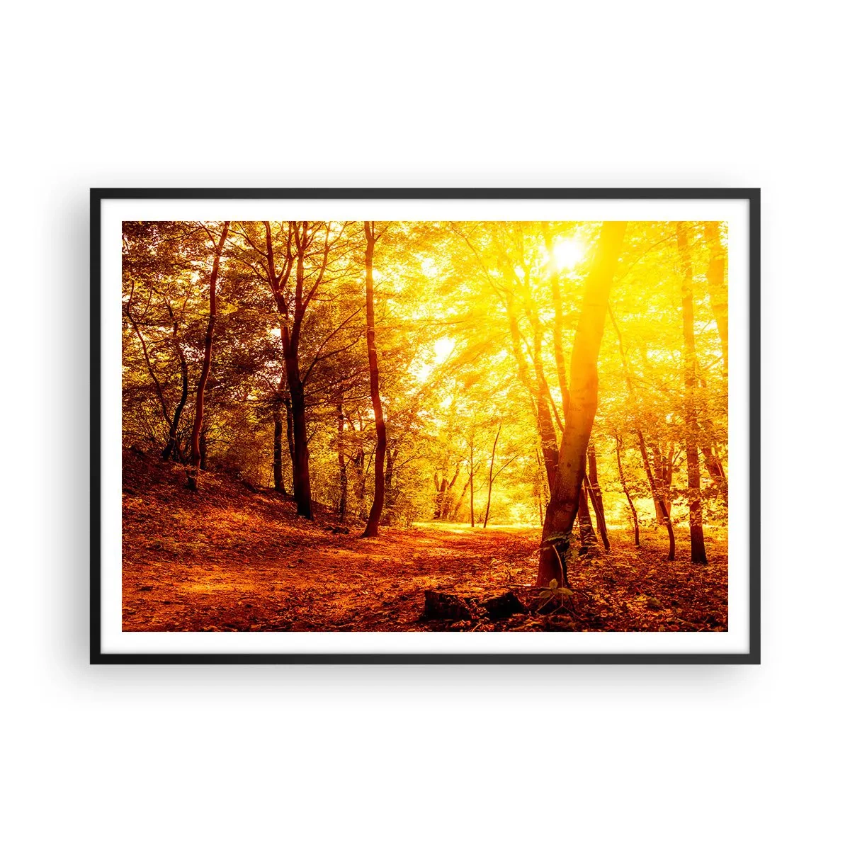 arttor2-218638