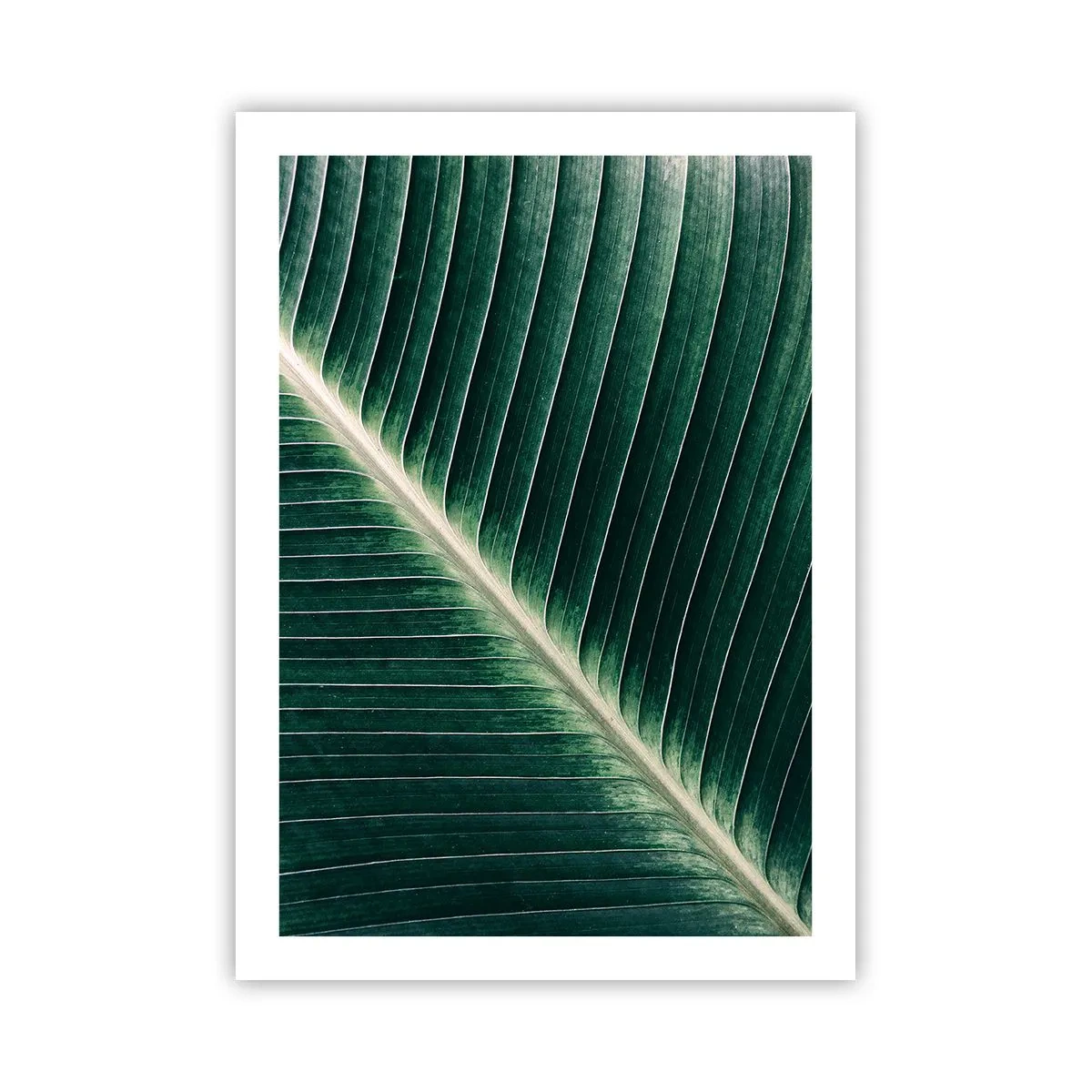 arttor2-219952