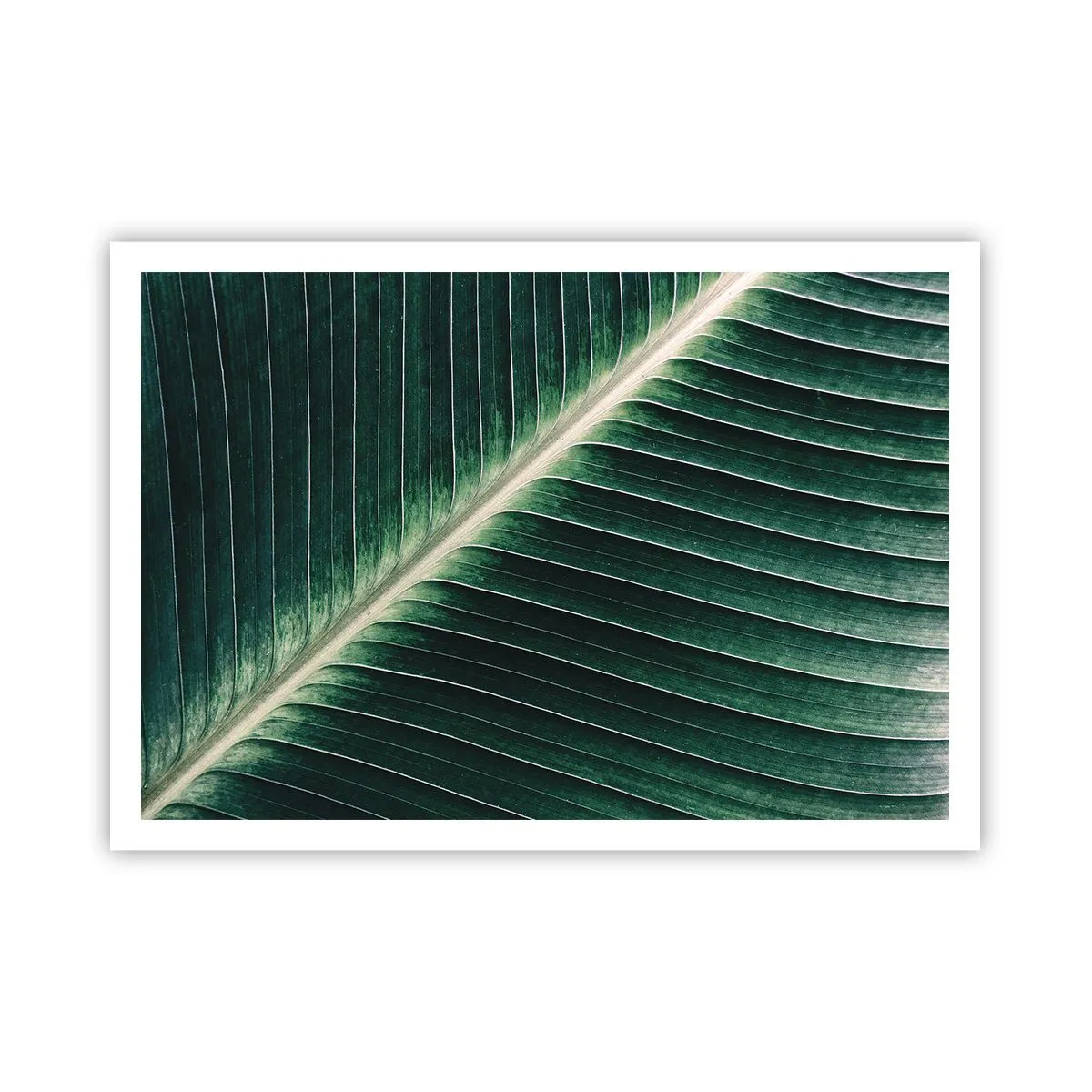 arttor2-219953