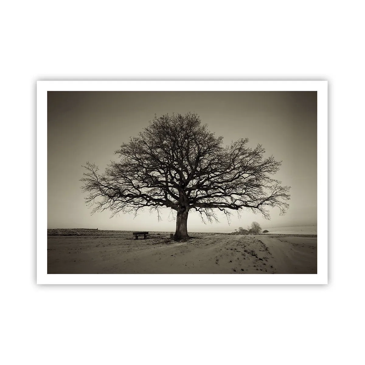 arttor2-220294