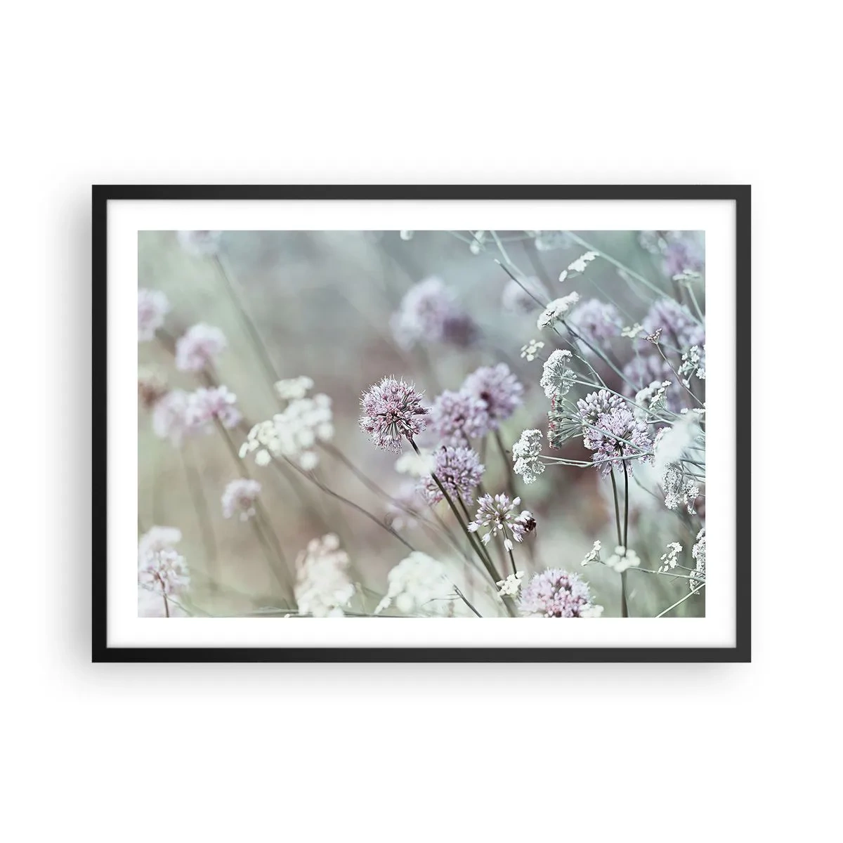 arttor2-221170