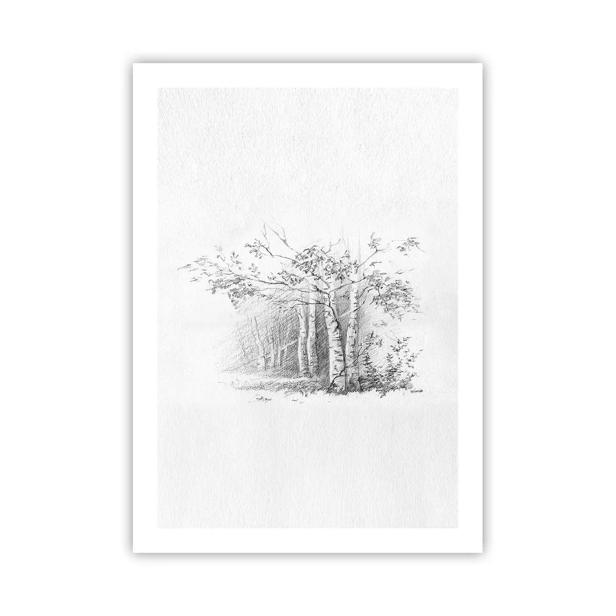 arttor2-226544