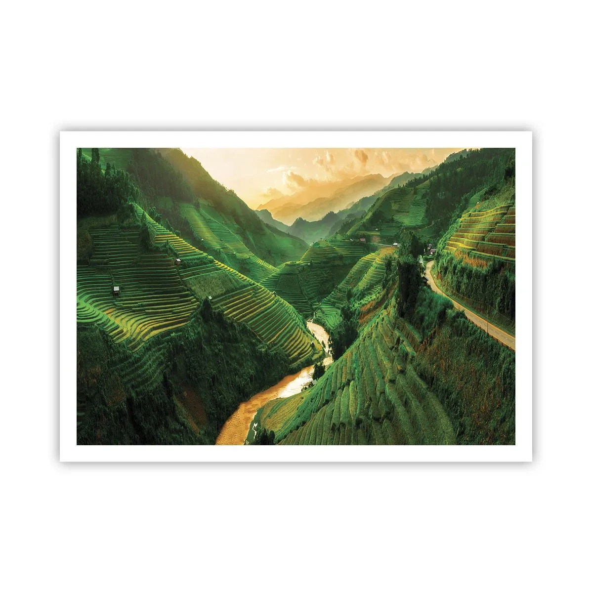arttor2-227556