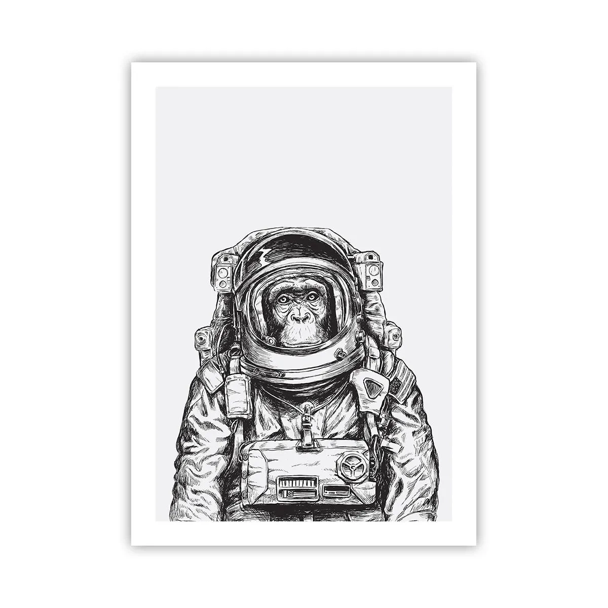 arttor2-228386