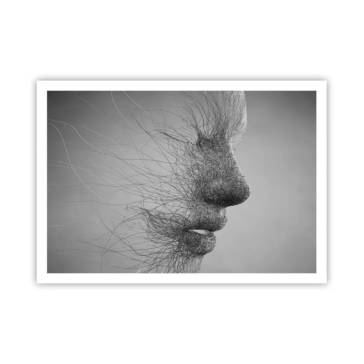 arttor2-229033