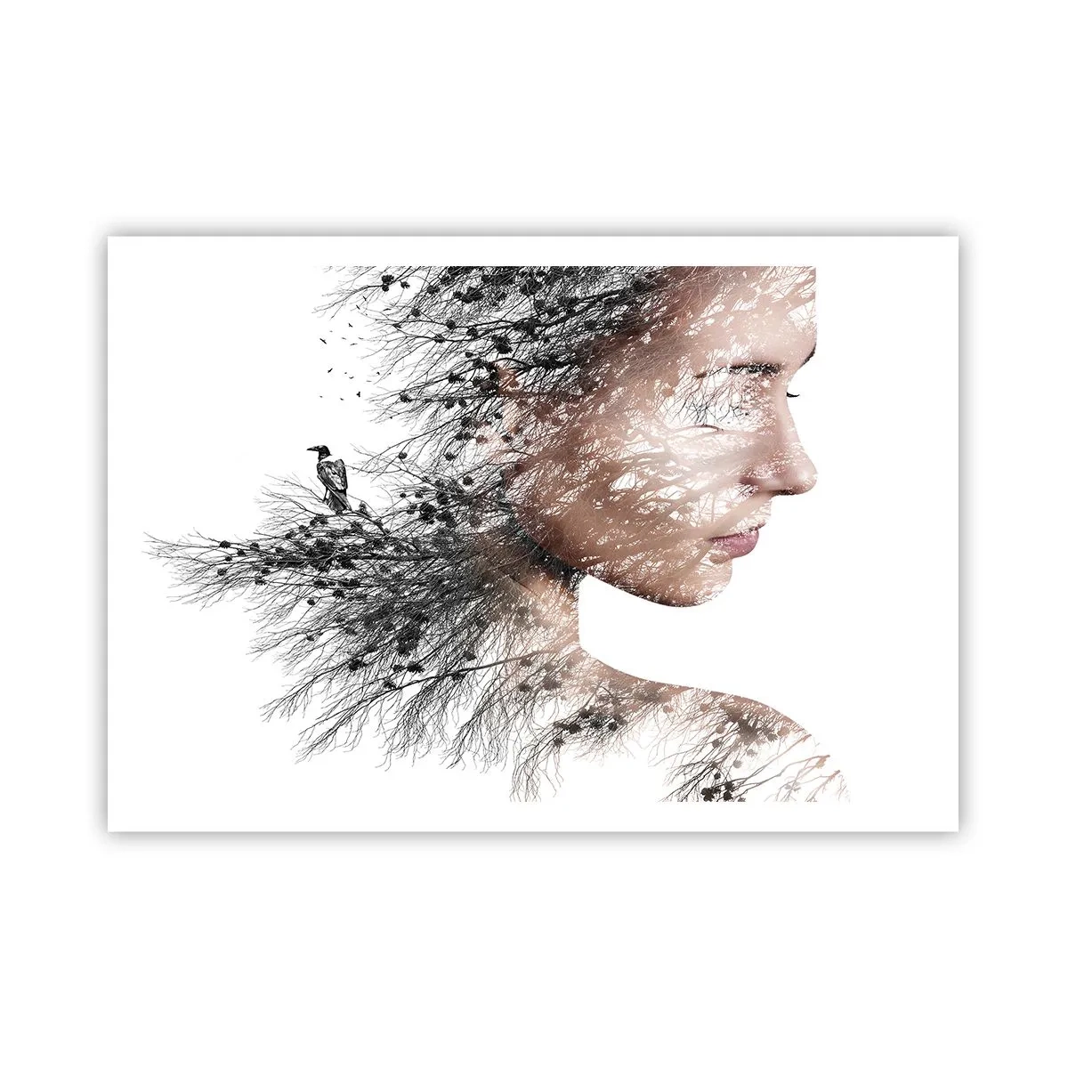 arttor2-229821