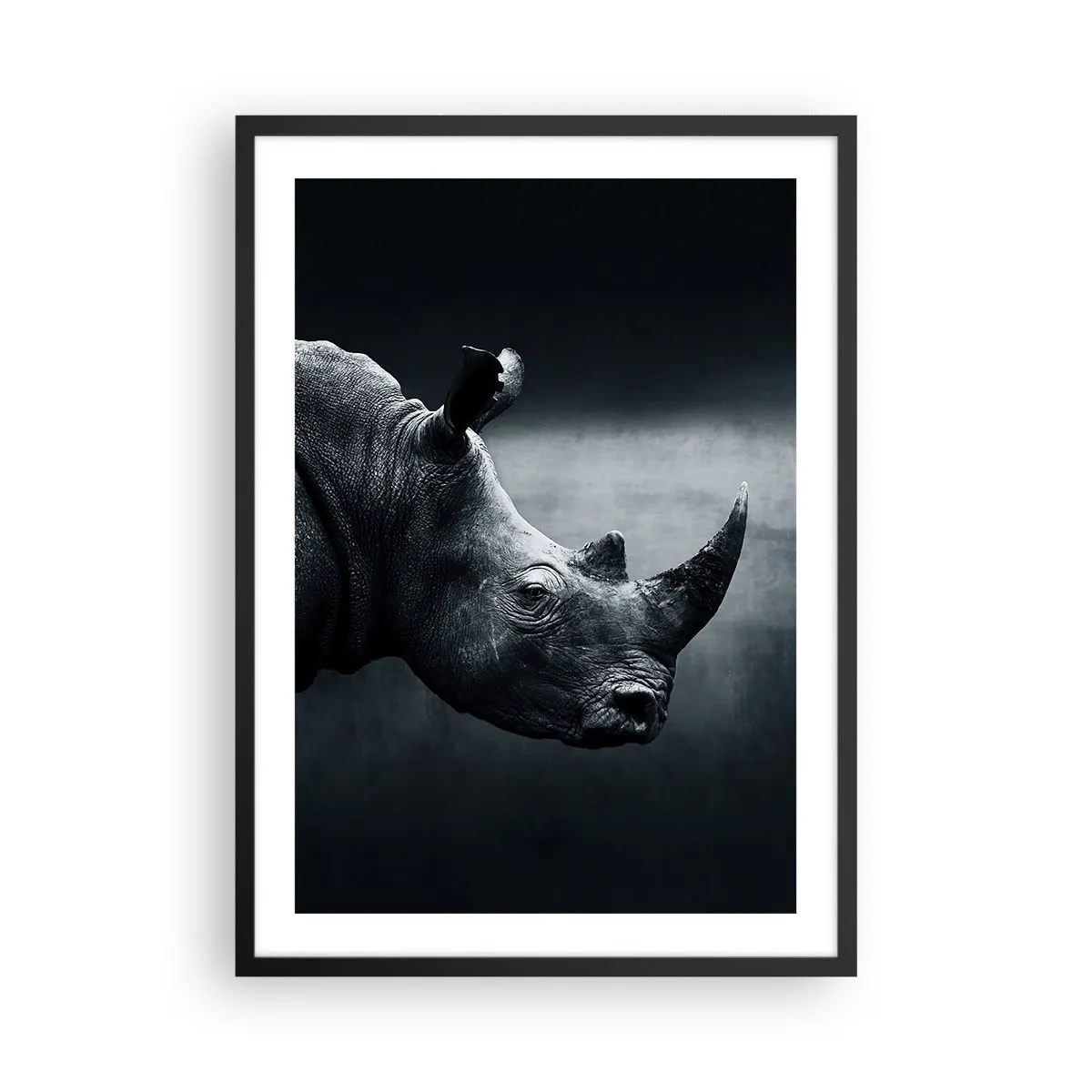 arttor2-230237