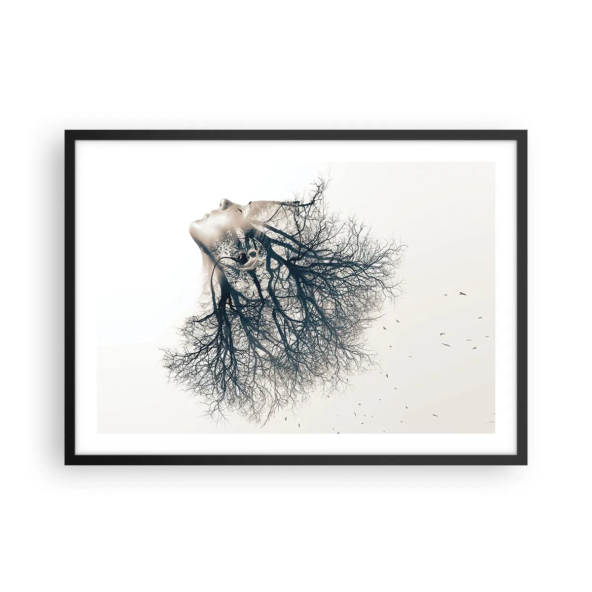 arttor2-230555
