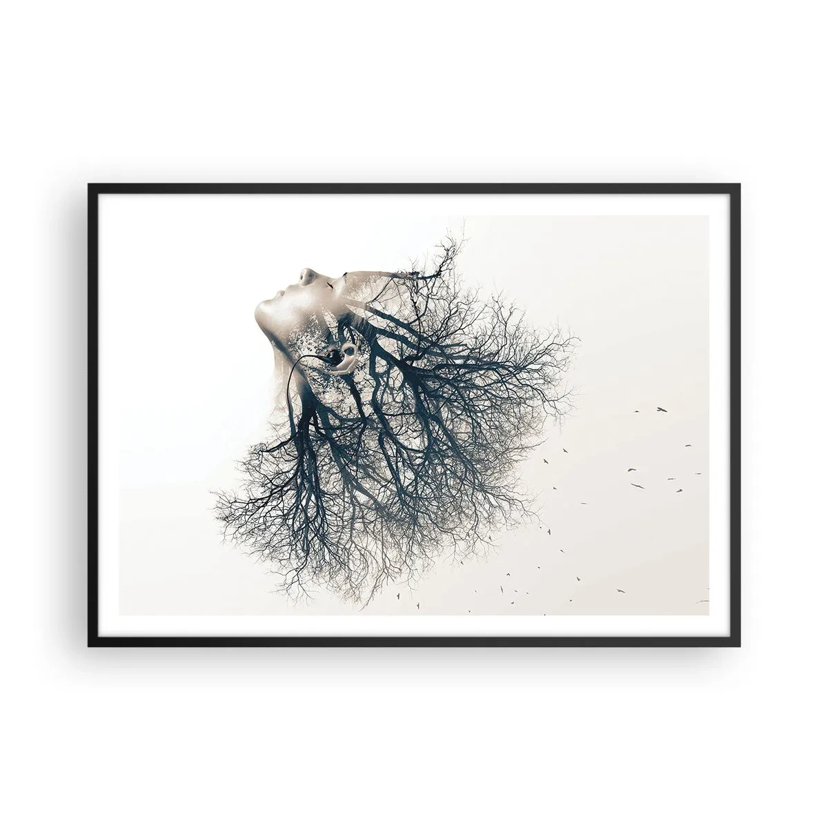 arttor2-230565
