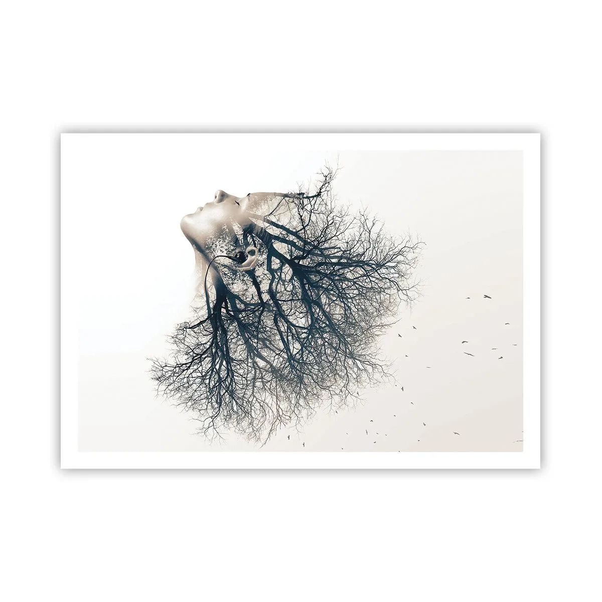 arttor2-230566