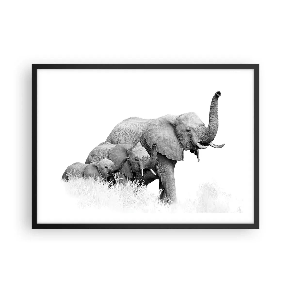arttor2-231547
