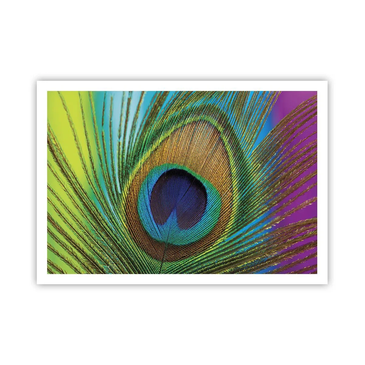 arttor2-232292