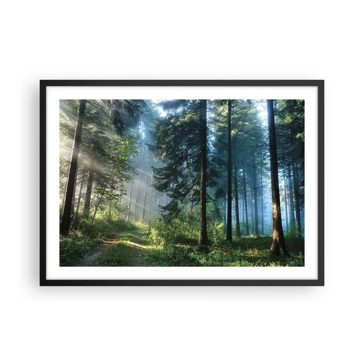 arttor2-233037