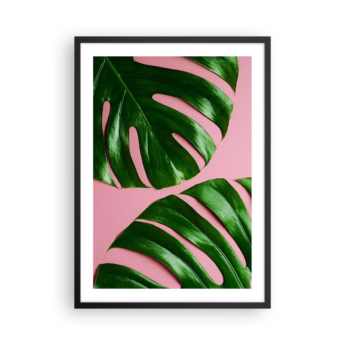 arttor2-233456