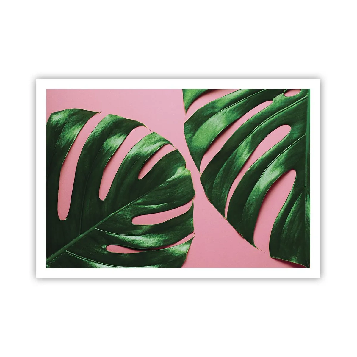 arttor2-233457