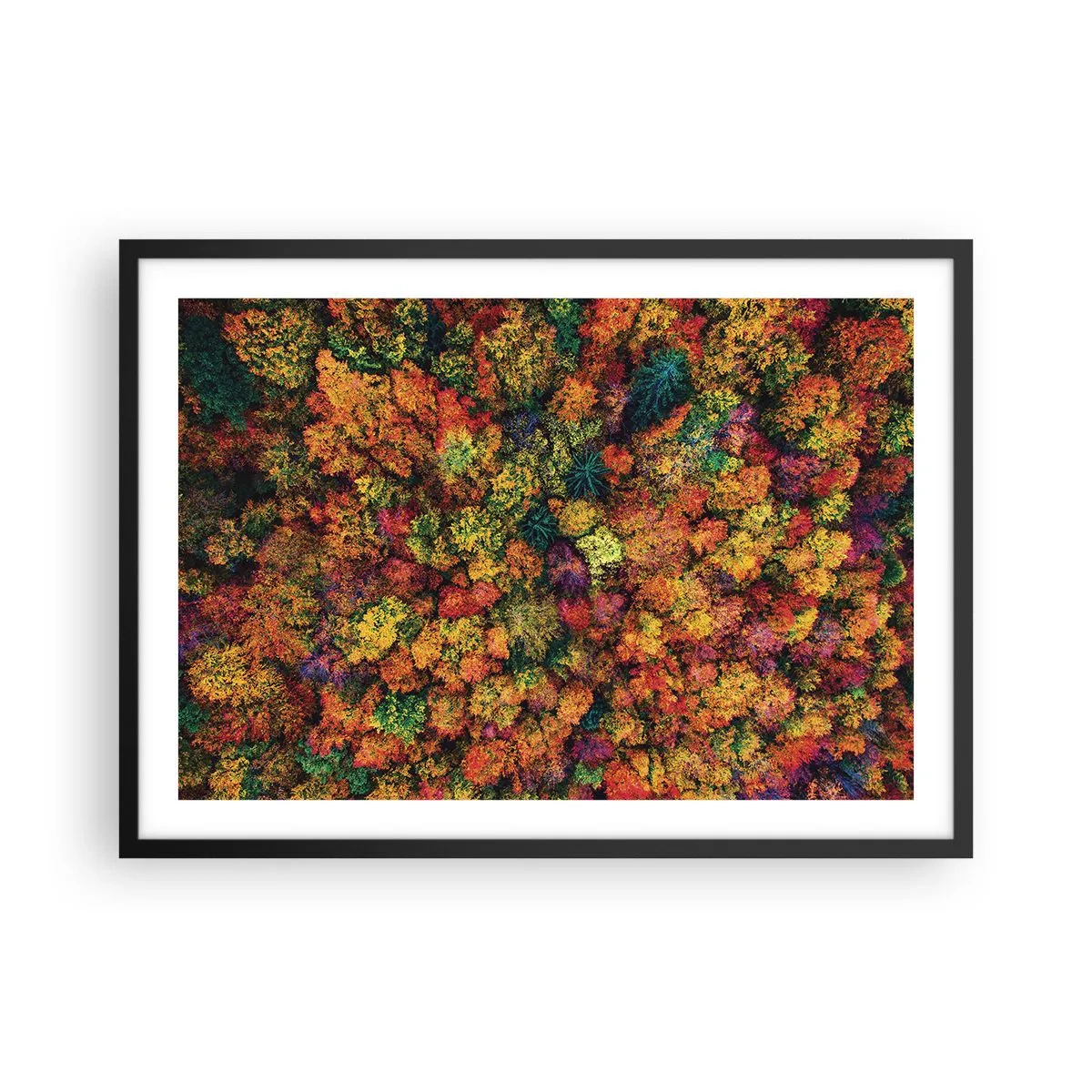 arttor2-235294