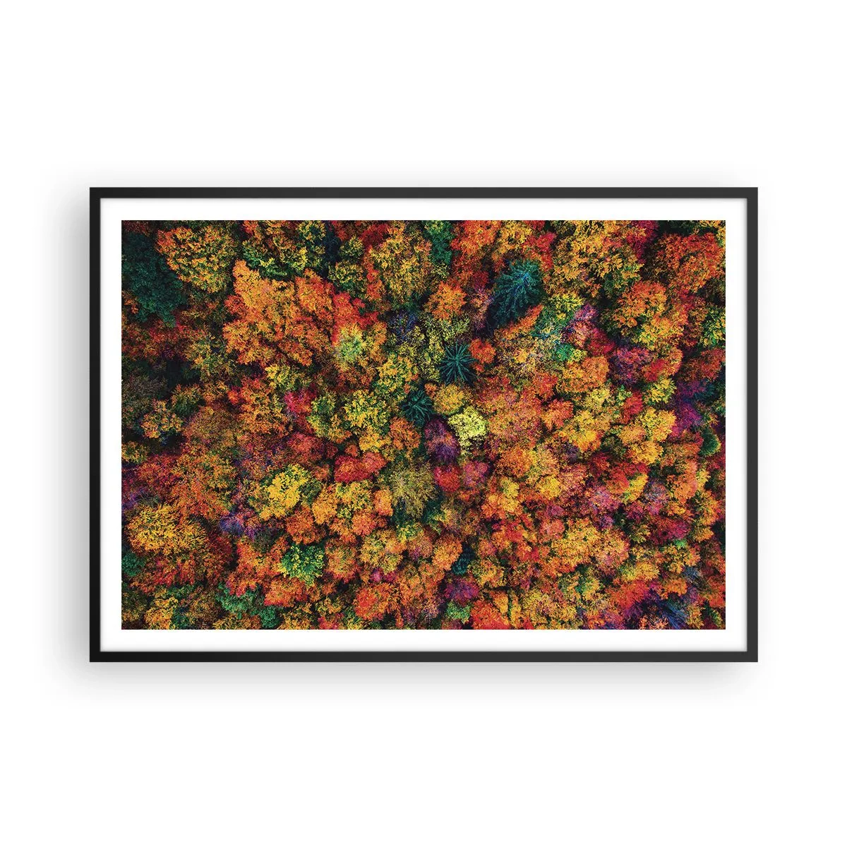 arttor2-235310