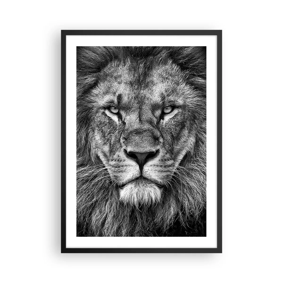 arttor2-235805