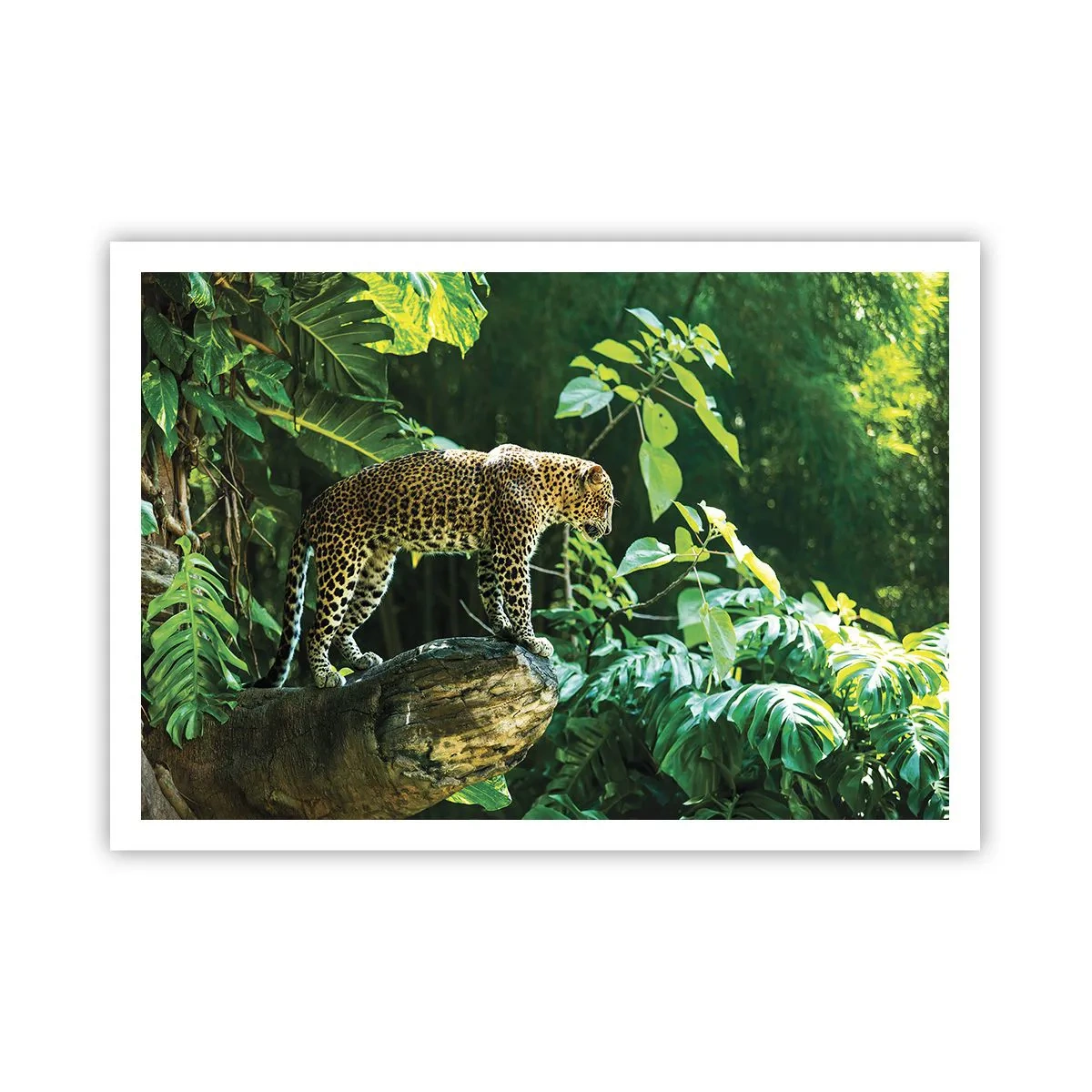 arttor2-236100