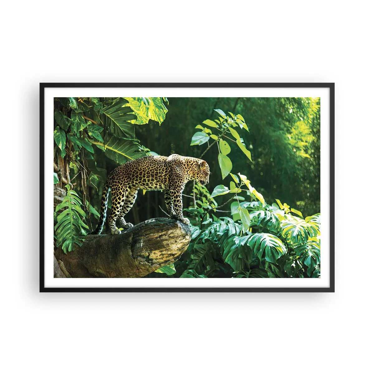 arttor2-236102