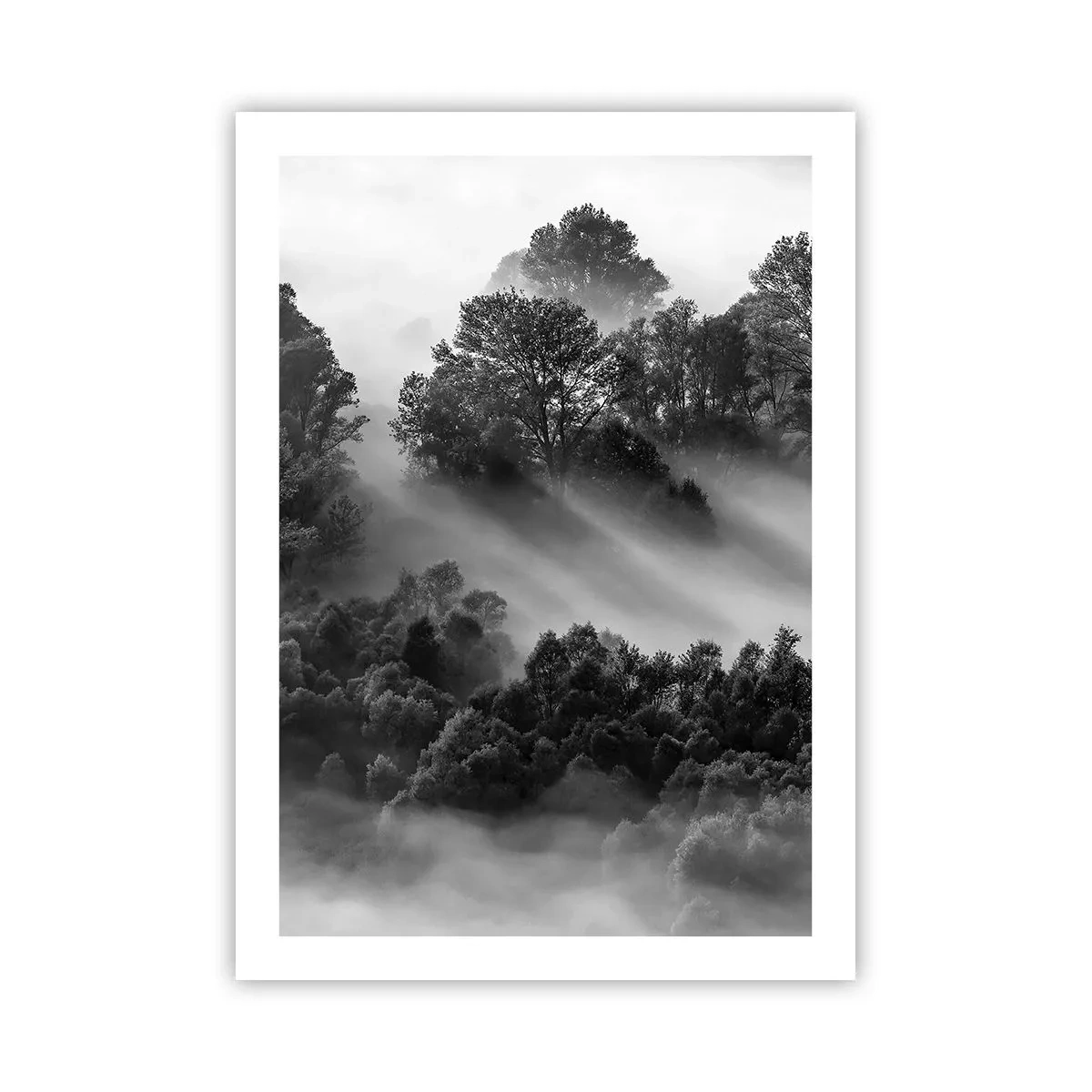 arttor2-236496